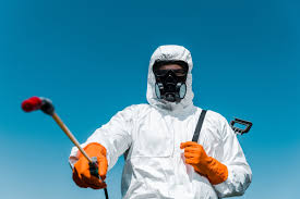 Pest Control for Hotels in Ely, MN